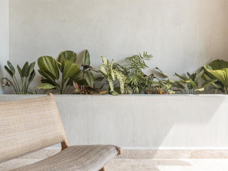 Hacienda Jaguar , Puerto Aventuras  