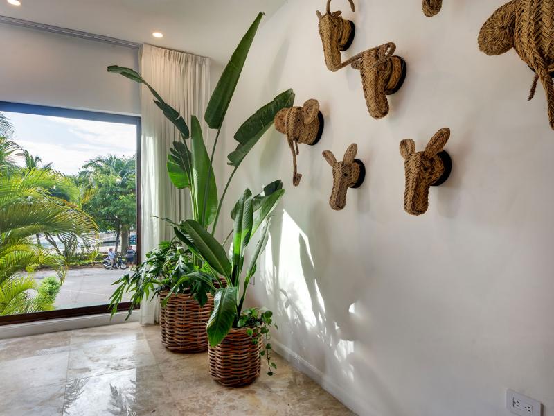 Casa Cenote , Puerto Aventuras  